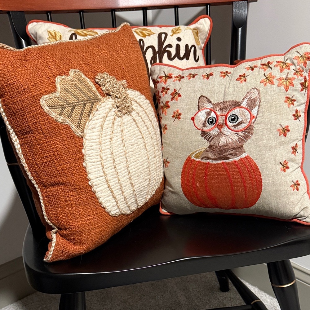 EUC rare Pier 1 fall themed throw pillows